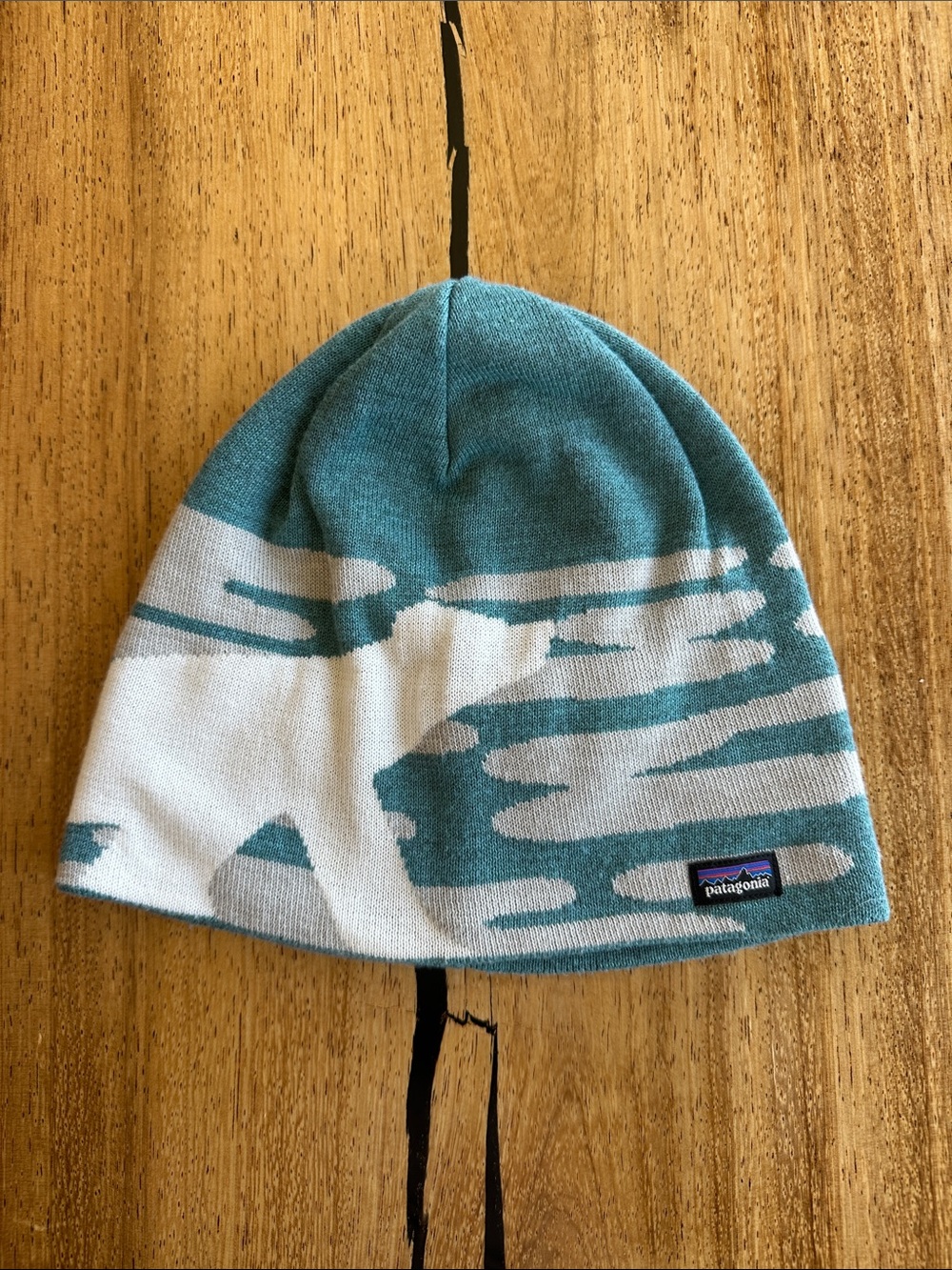 Patagonia Women’s Teal & White Knit Beanie with Polar Bear Design